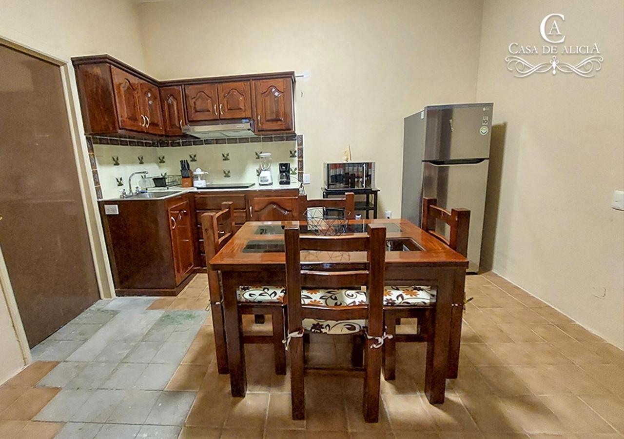 Casa De Alicia Departamento Yagul Daire Oaxaca Dış mekan fotoğraf