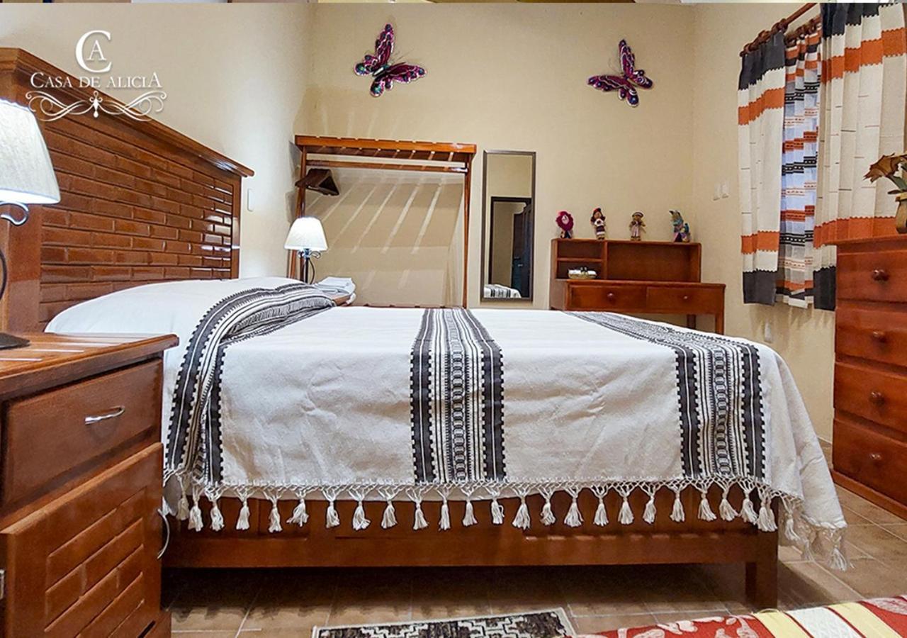 Casa De Alicia Departamento Yagul Daire Oaxaca Dış mekan fotoğraf